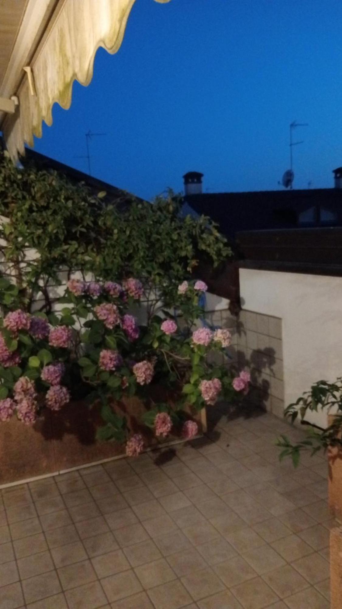 Attico Di Marisa Apartment Codroipo Bagian luar foto